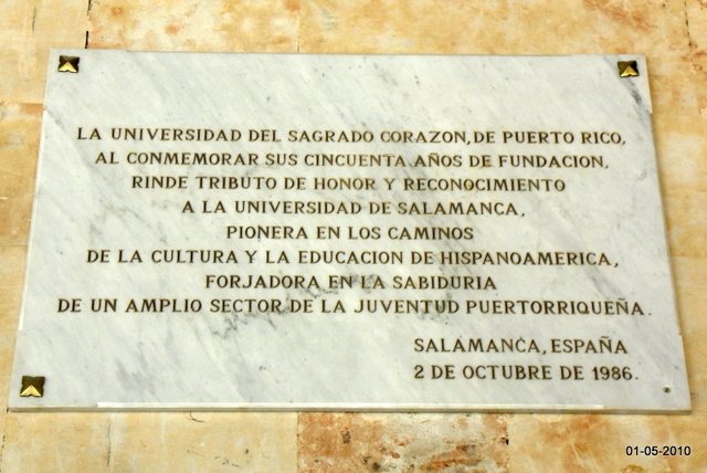kt01460.jpg