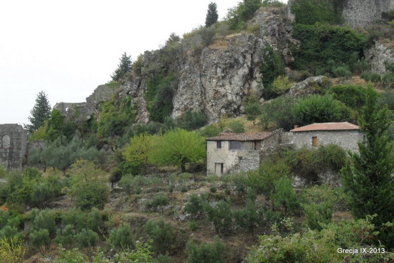 sdc17749.jpg