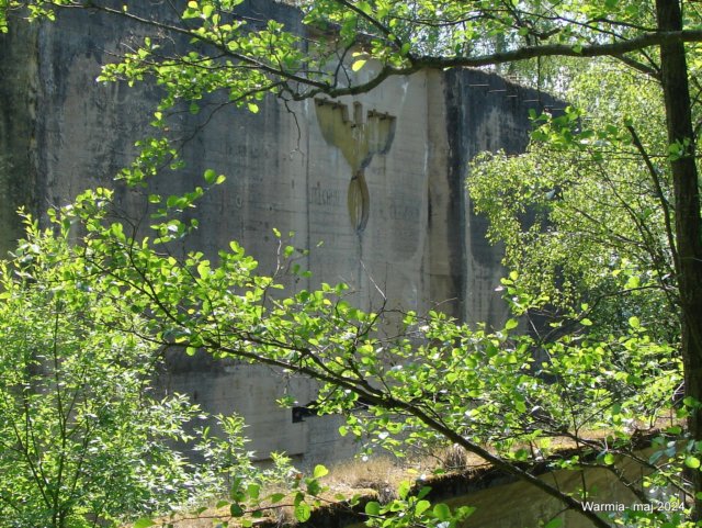 dsc00506.jpg