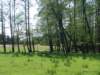 dsc00662_small.jpg