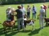 dsc00665_small.jpg
