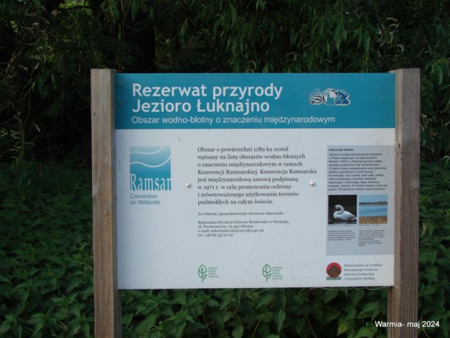 dsc00674.jpg