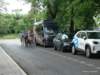 dsc00770_small.jpg