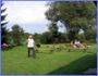Dożynki 2007 Foto 17